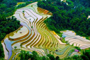 Du lịch Hà Giang - Ruộng bậc thang